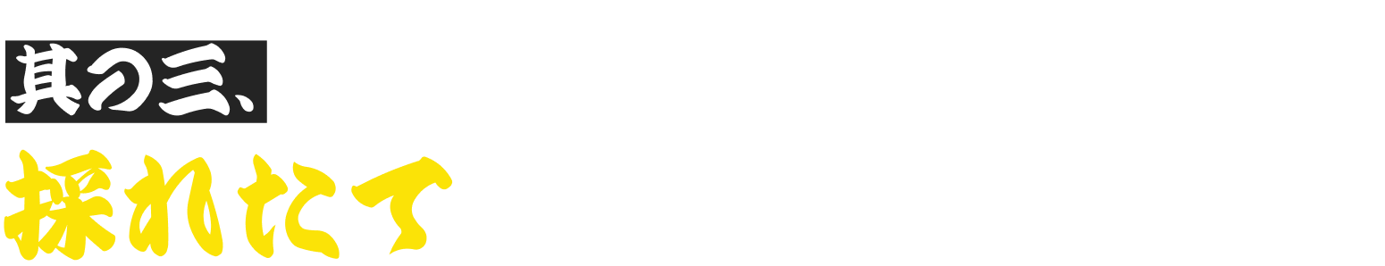 其の三、 採れたて青くびネギ